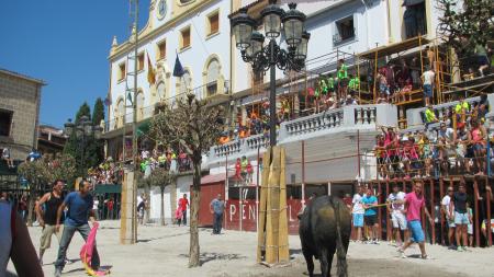 Imagen FIESTAS DEL TABACO Y DEL PIMIENTO