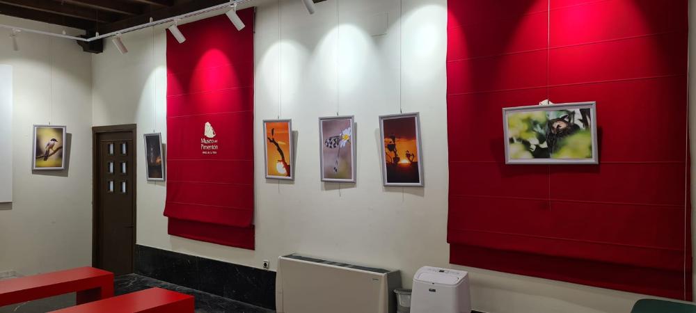 Imagen Exposicin de fotografas