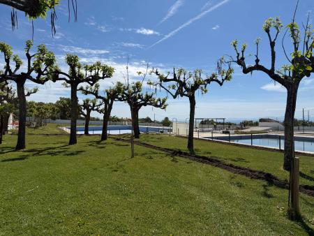 Imagen Apertura de la piscina municipal